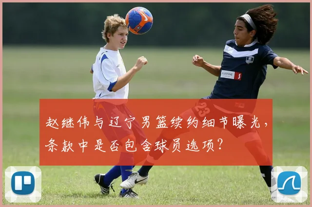 赵继伟与辽宁男篮续约细节曝光,条款中是否包含球员选项?